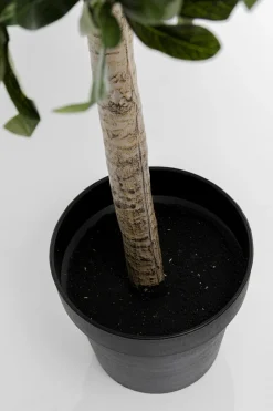 KARE Deko Pflanze Olive Tree 120cm New