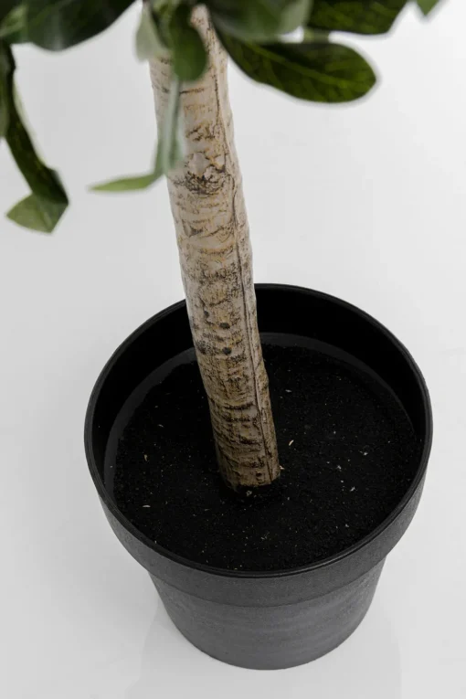 KARE Deko Pflanze Olive Tree 120cm New